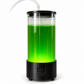 Phytoplankton Reactor