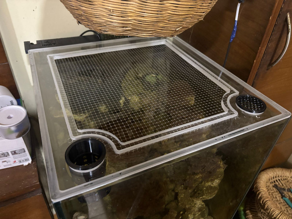 ClearView Lid – Custom Made to Order