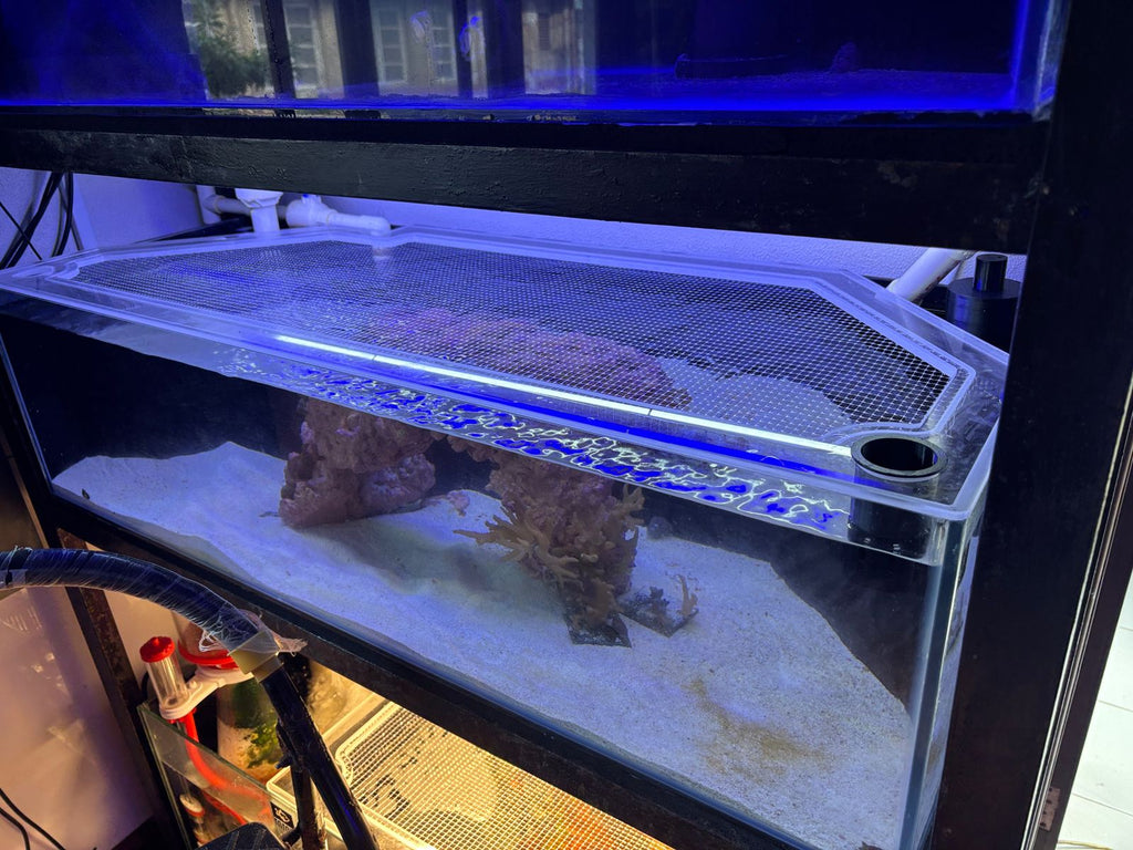 ClearView Lid – Custom Made to Order