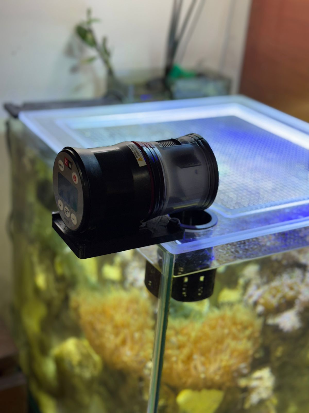 ClearView Lid – Custom Made to Order