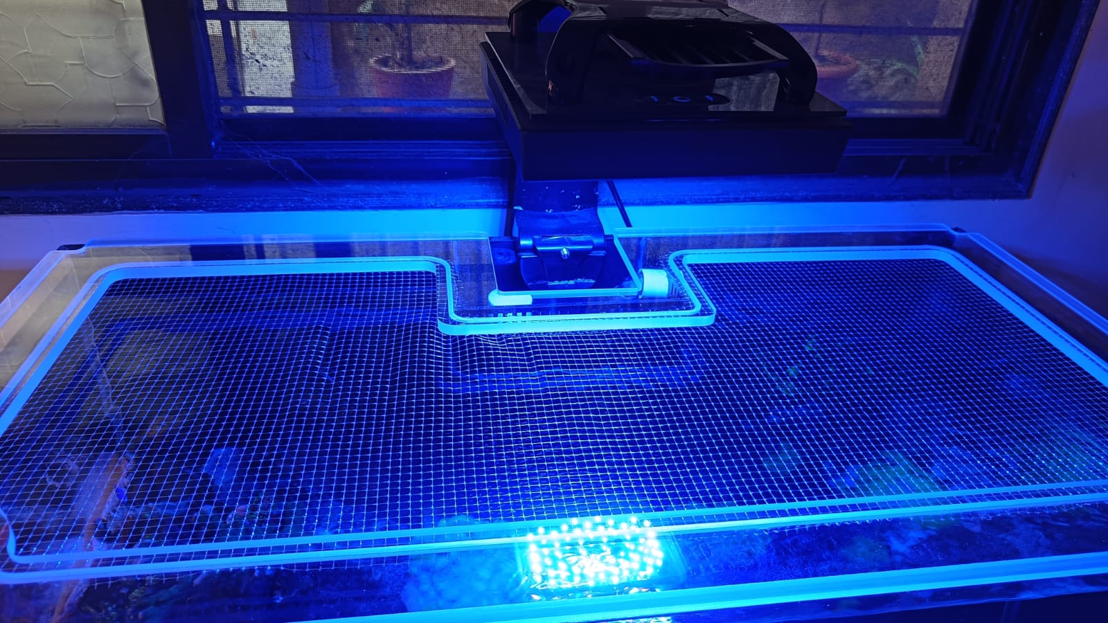 ClearView Lid – Custom Made to Order