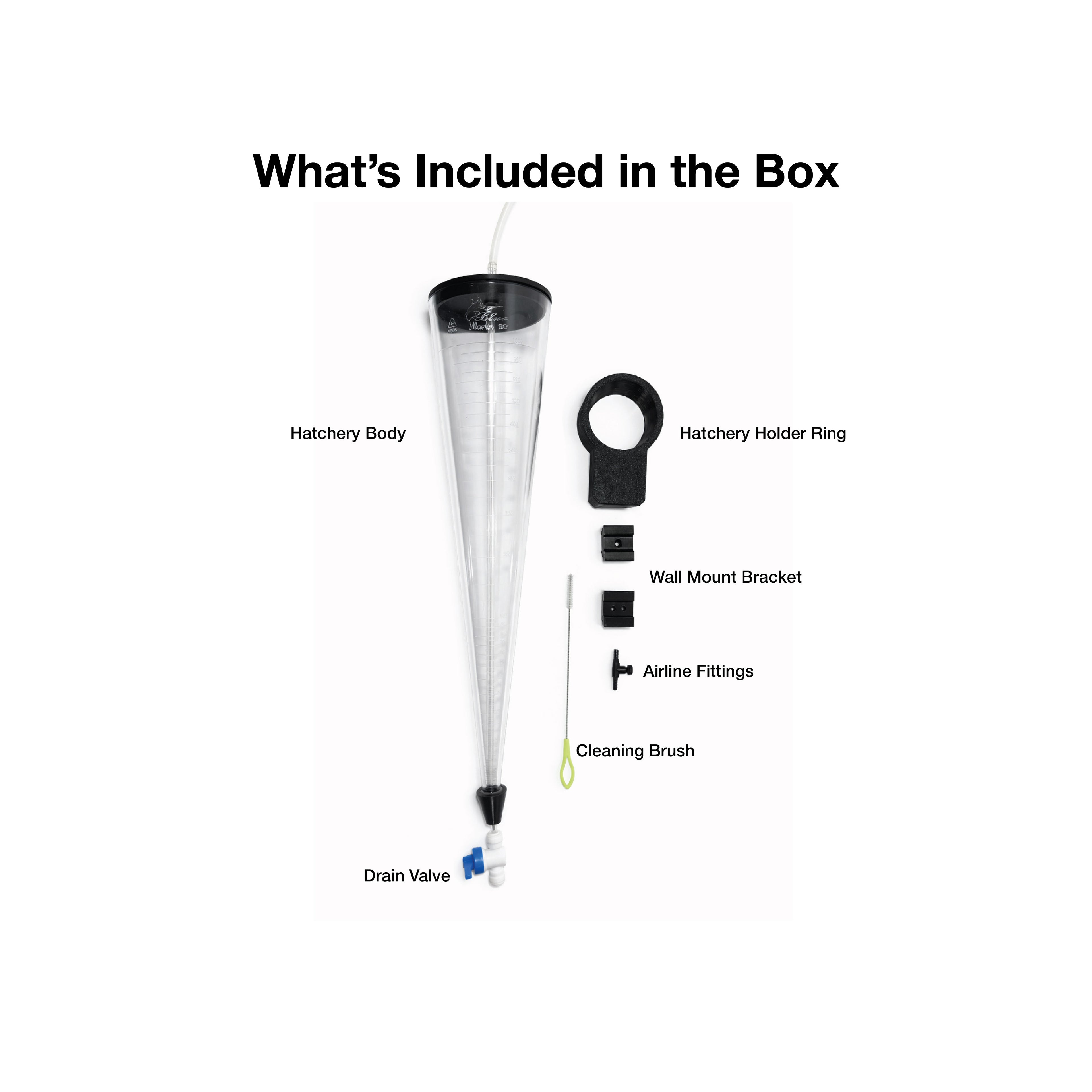 Brine Shrimp Hatchery Kit